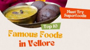 Top 10 Foods to Explore in Vellore